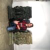 Bronze Mythological Pedestal with Rams Head