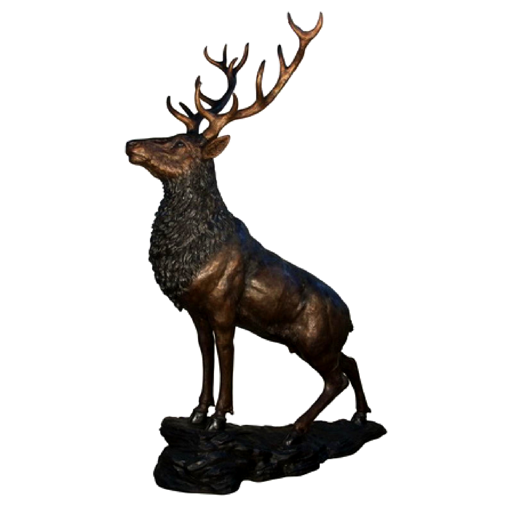 Bronze Deer Sculpture – Florida Bronze Statues, Sculptures and Fountains