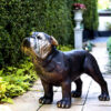 Bronze Medium Bulldog Sculpture