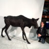 Bronze Female Moose Sculpture