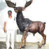Bronze Large Moose Sculpture