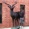 Bronze Large Deer Sculpture