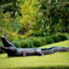 Bronze Alligator Fountain Sculpture