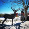SRB10069-Holiday-with-Bows.jpg Bronze Deer Sculpture Pair