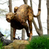 SRB10075-R-Bronze-Running-CHeetah-Sculpture-by-Metropolitan-Galleries-Inc.jpg Bronze Running Cheetah Sculpture