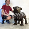 Bronze Medium Bulldog Sculpture