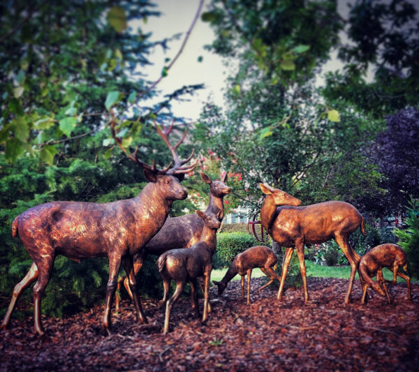 Bronze Deer Herd of Six Sculpture Set