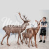 SRB10119-Bronze-Deer-Family-of-Three-Sculpture-Set-exclusive-by-Metropolitan-Galleries-Inc-SCALE-WM.jpg Bronze Deer Family of Three Sculpture Set