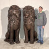 Bronze Six Foot Sitting Lions Sculpture Pair