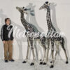 SRB15043-SP-Bronze-Life-size-Giraffe-Sculpture-Set-with-Silver-Patina-by-Metropolitan-Galleries-Inc-SCALE-PHOTO.jpg Bronze Life-size Giraffe Sculpture Set (Silver)