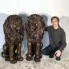 Bronze Sitting Lions Sculpture Pair with Brass Highlights